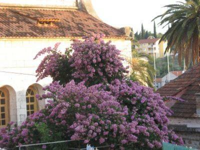Villa Anna Milna  Εξωτερικό φωτογραφία